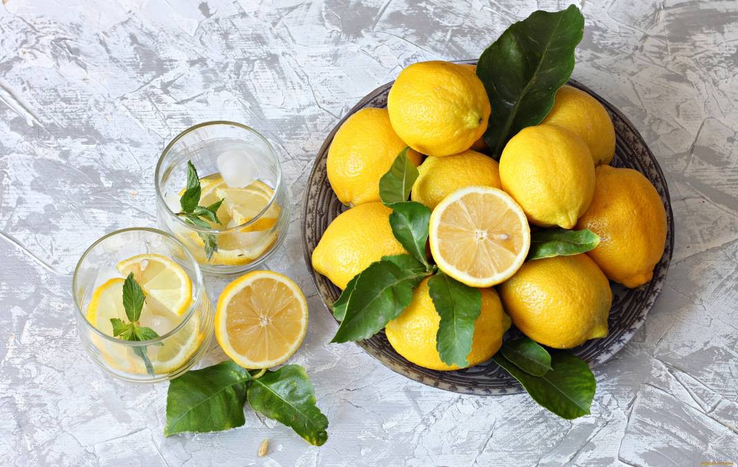 Limonun değil fiyatının suyu çıktı! Limonu durdurabilene aşk olsun - Resim: 13